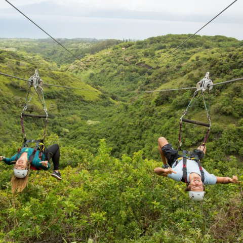a group of people riding on top of a lush green hillside