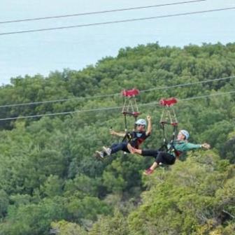 a person driving a forest