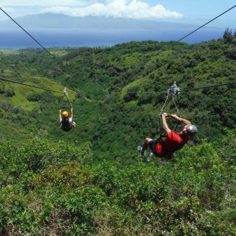 a couple of people that are on a grassy hill