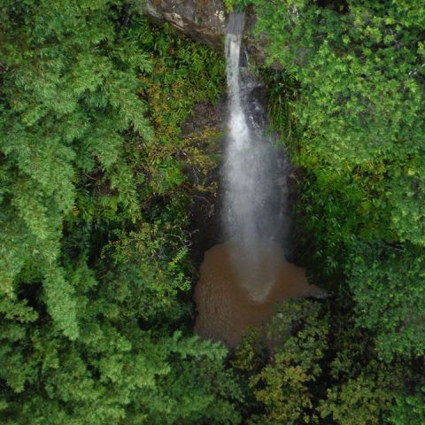 a waterfall in a forest