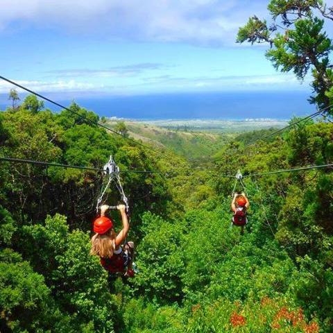 a group of people in a forest