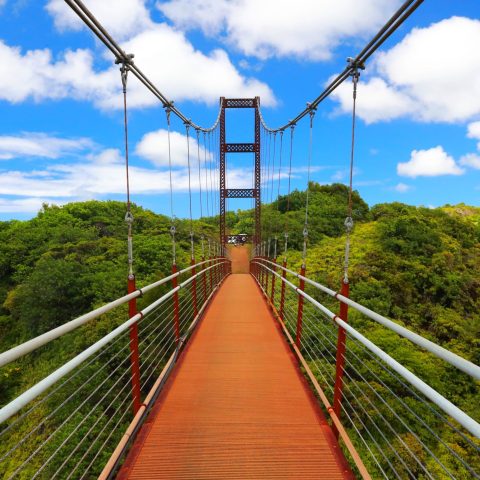 a group of people on a bridge