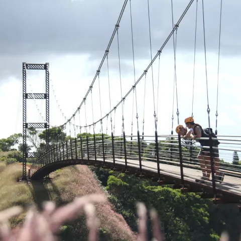 People looking down from Kapalua Suspension Bridge